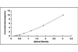 Typical standard curve (CCKAR Kit ELISA)