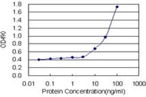 Sandwich ELISA detection sensitivity ranging from 3 ng/mL to 100 ng/mL. (RFXANK (Humain) Matched Antibody Pair)