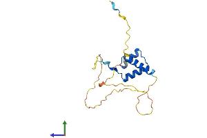 AlphaFold protein structure predicition of Mouse Recombinant Dlx6 Protein, UniprotID P70397