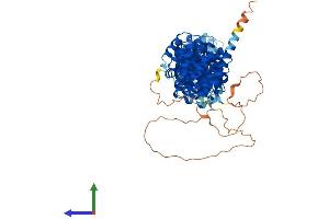 AlphaFold protein structure predicition of Human Recombinant VAC14 Protein, UniprotID Q08AM6