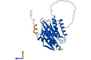 AlphaFold protein structure predicition of Human Recombinant IMPACT Protein, UniprotID Q9P2X3