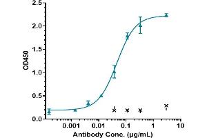 Immobilized human IL-6 His at 2 μg/mL can bind Anti-IL-6 / IFNb2 Reference Antibody (MEDI 5117), EC50=0. (Recombinant IL-6 anticorps)