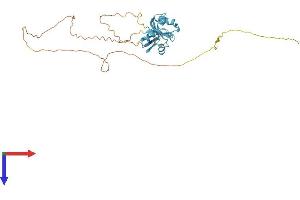AlphaFold protein structure predicition of Human Recombinant SRSF6 Protein, UniprotID Q13247
