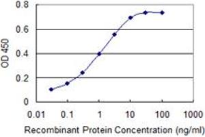Detection limit for recombinant GST tagged KIT is 0. (KIT anticorps  (AA 41-140))