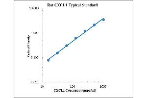 ELISA image for Chemokine (C-X-C Motif) Ligand 1 (Melanoma Growth Stimulating Activity, Alpha) (CXCL1) ELISA Kit (ABIN2472104)
