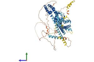 AlphaFold protein structure predicition of Mouse Recombinant Kcnd1 Protein, UniprotID Q03719