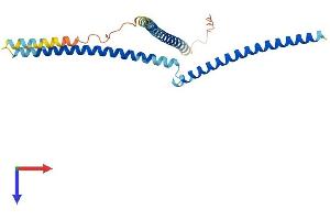 AlphaFold protein structure predicition of Mouse Recombinant Fgfr1op2 Protein, UniprotID Q9CRA9