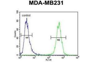 Flow cytometric analysis of MDA-MB231 cells using AP52042PU-N (right histogram) compared to a negative control cell (left histogram).