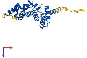AlphaFold protein structure predicition of Human Recombinant ARMC7 Protein, UniprotID Q9H6L4