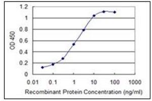 ELISA image for anti-serine Peptidase Inhibitor, Kazal Type 1 (SPINK1) antibody (ABIN781831)