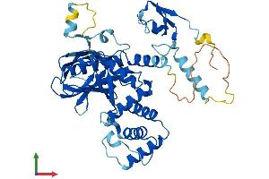AlphaFold protein structure predicition of Mouse Recombinant Mylip Protein, UniprotID Q8BM54