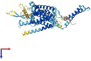 AlphaFold protein structure predicition of Mouse Recombinant Lmbrd1 Protein, UniprotID Q8K0B2