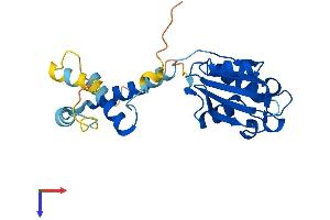 AlphaFold protein structure predicition of Human Recombinant PDC Protein, UniprotID P20941