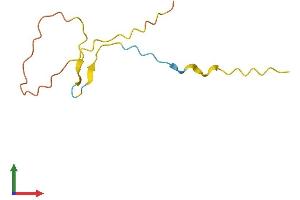 AlphaFold protein structure predicition of Human Recombinant FAM229B Protein, UniprotID Q4G0N7