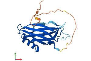 AlphaFold protein structure predicition of Human Recombinant SYT14P1 Protein, UniprotID Q58G82