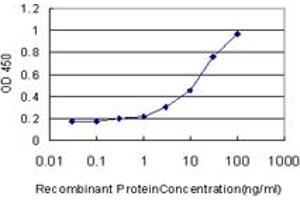 Detection limit for recombinant GST tagged HIPK1 is approximately 0. (HIPK1 anticorps  (AA 330-430))