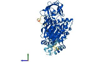 AlphaFold protein structure predicition of Mouse Recombinant Pole2 Protein, UniprotID O54956