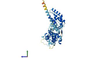 AlphaFold protein structure predicition of Human Recombinant ORC4 Protein, UniprotID O43929