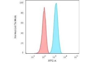 Flow Cytometric Analysis of T98G cells using GFAP Rabbit Recombinant Monoclonal Antibody (ASTRO/1974R) followed by Goat anti-Rabbit IgG-CF488 (Blue); Isotype Control (Red).