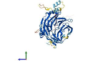 AlphaFold protein structure predicition of Mouse Recombinant Dcaf12 Protein, UniprotID Q8BGZ3