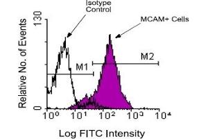 Flow Cytometry (FACS) image for anti-Melanoma Cell Adhesion Molecule (MCAM) antibody (ABIN371423) (MCAM anticorps)