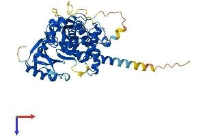 AlphaFold protein structure predicition of Human Recombinant IPPK Protein, UniprotID Q9H8X2