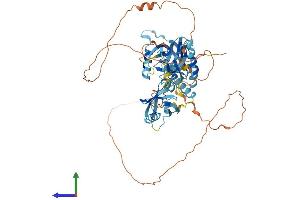 AlphaFold protein structure predicition of Human Recombinant APBA3 Protein, UniprotID O96018