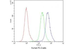 Flow cytometry testing of human PC-3 cells with ATG14L antibody at 1ug/10^6 cells (blocked with goat sera) (ATG14 anticorps)