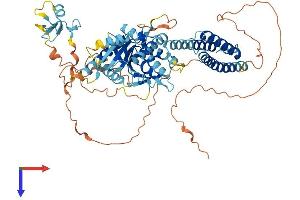 AlphaFold protein structure predicition of Human Recombinant RNF112 Protein, UniprotID Q9ULX5