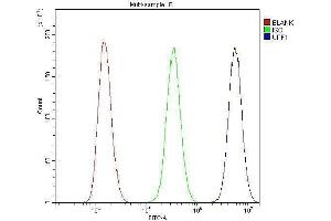 Flow Cytometry analysis of PC-3 cells using anti-RENT1/hUPF1 antibody (ABIN3043955).