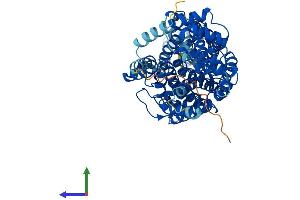 AlphaFold protein structure predicition of Human Recombinant SLC6A19 Protein, UniprotID Q695T7