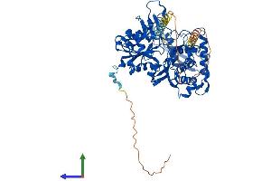 AlphaFold protein structure predicition of Mouse Recombinant Actr8 Protein, UniprotID Q8R2S9