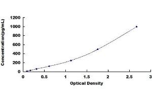 Typical standard curve (VEGF206 Kit ELISA)