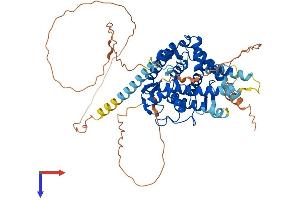 AlphaFold protein structure predicition of Mouse Recombinant Nr5a2 Protein, UniprotID P45448