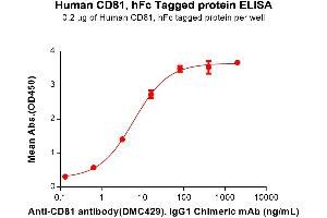 ELISA plate pre-coated by 2 μg/mL (100 μL/well) Human CD81 Protein, hFc Tag (ABIN7092751, ABIN7272320 and ABIN7272321) can bind Anti-CD81 antibody, IgG1 Chimeric mAb in a linear range of 0.