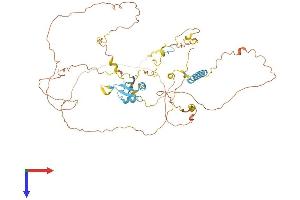 AlphaFold protein structure predicition of Human Recombinant EIF4B Protein, UniprotID P23588
