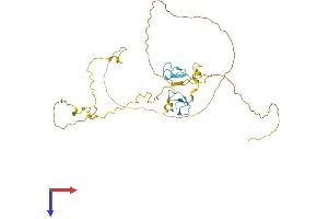 AlphaFold protein structure predicition of Human Recombinant ZRANB2 Protein, UniprotID O95218