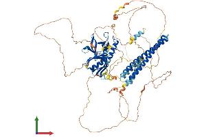AlphaFold protein structure predicition of Human Recombinant AFAP1L2 Protein, UniprotID Q8N4X5