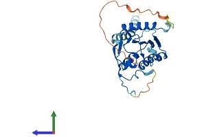 AlphaFold protein structure predicition of Human Recombinant PLD6 Protein, UniprotID Q8N2A8