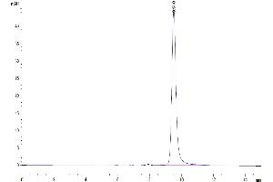 The purity of Human ENPP-3(48-157) is greater than 95 % as determined by SEC-HPLC.
