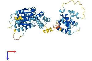 AlphaFold protein structure predicition of Human Recombinant ORC5 Protein, UniprotID O43913