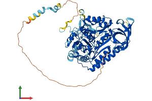AlphaFold protein structure predicition of Mouse Recombinant Cdk5rap1 Protein, UniprotID Q8BTW8