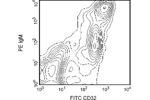 Flow Cytometry (FACS) image for anti-Fc gamma RII (CD32) antibody (ABIN967282) (Fc gamma RII (CD32) anticorps)
