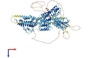 AlphaFold protein structure predicition of Mouse Recombinant Rasgrf1 Protein, UniprotID P27671