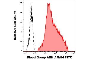 Separation of human erythrocytes from blood group A donor (red-filled) from erythrocytes from blood group 0 donor (black-dashed) in flow cytometry analysis (surface staining) of human peripheral whole blood samples using anti-blood group ABH (HE-10) antibody (culture supernatant, GAM FITC). (Blood Group ABH anticorps)
