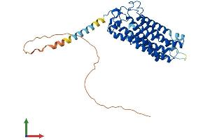 AlphaFold protein structure predicition of Human Recombinant ADIPOR1 Protein, UniprotID Q96A54