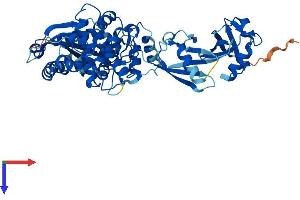 AlphaFold protein structure predicition of Mouse Recombinant Oasl1 Protein, UniprotID Q8VI94
