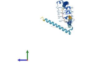 AlphaFold protein structure predicition of Human Recombinant LRRC59 Protein, UniprotID Q96AG4