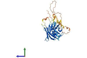 AlphaFold protein structure predicition of Mouse Recombinant Plscr4 Protein, UniprotID P58196