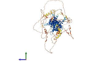 AlphaFold protein structure predicition of Human Recombinant HIF1A Protein, UniprotID Q16665